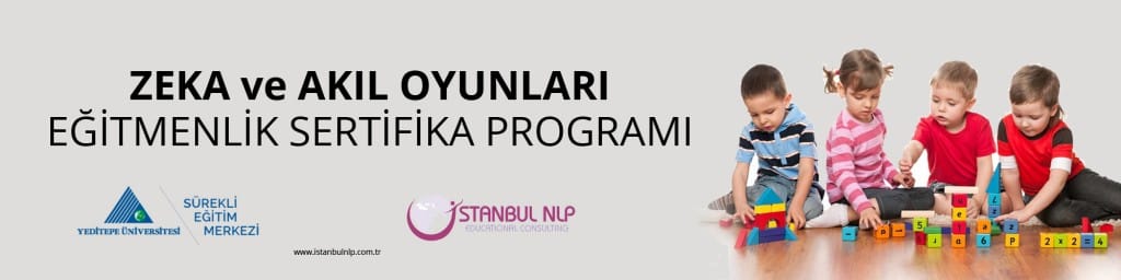 Zeka ve Akıl Oyunları İstanbul NLP Logosu